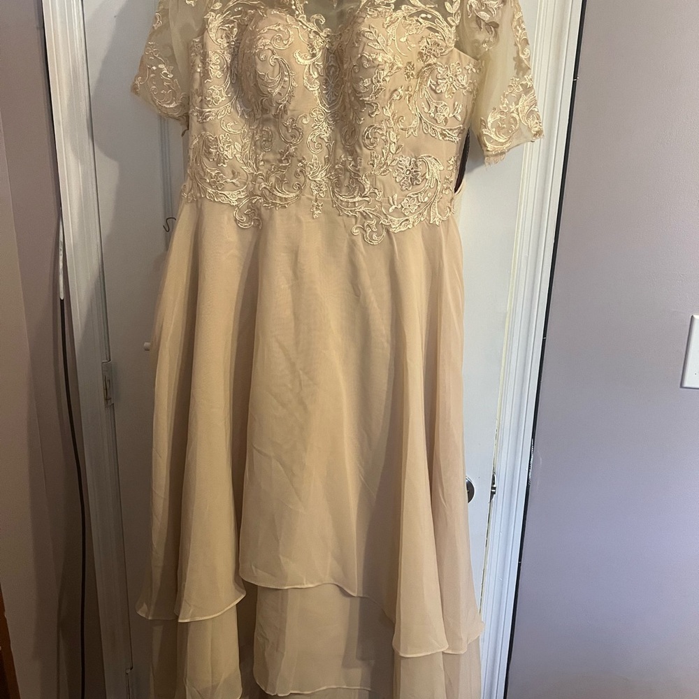 Gold Flutter Sleeve Sweetheart High Low Gown